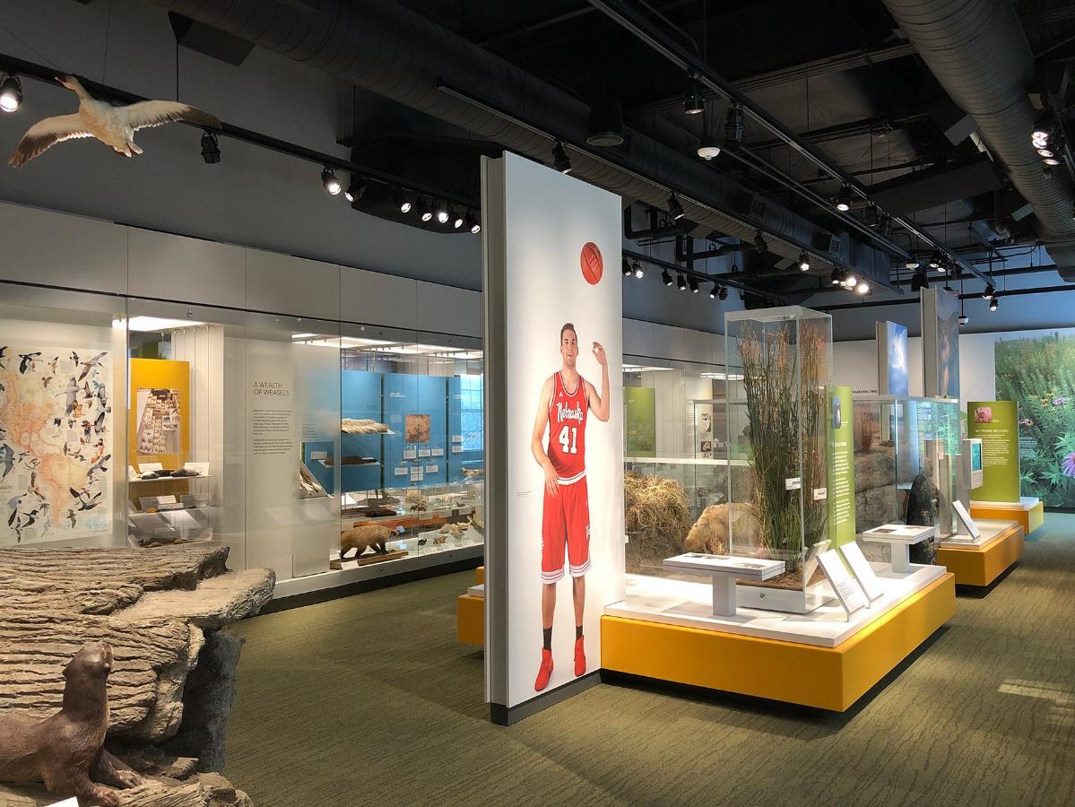 企業(yè)展廳設(shè)計(jì)效果3 企業(yè)展廳設(shè)計(jì)效果3