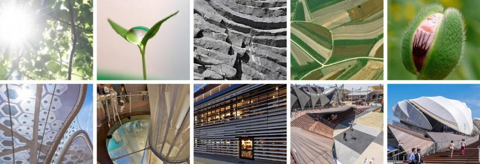 米蘭世博會(huì)德國館設(shè)計(jì)1 米蘭世博會(huì)德國館設(shè)計(jì)1