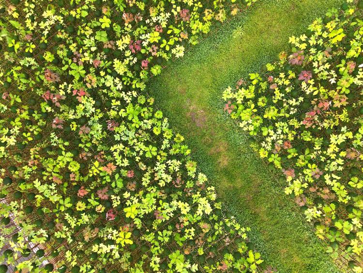 圖片15.jpg 圖片15.jpg