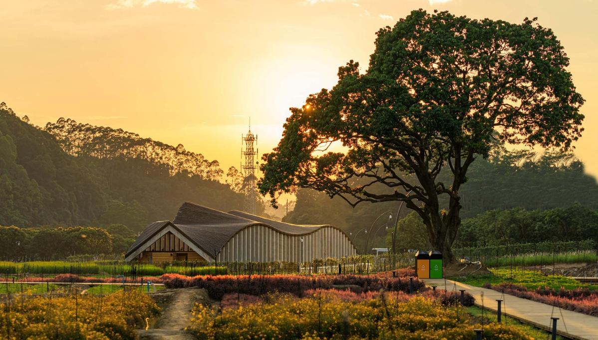 08遠(yuǎn)觀-林汝佳.jpg 08遠(yuǎn)觀-林汝佳.jpg