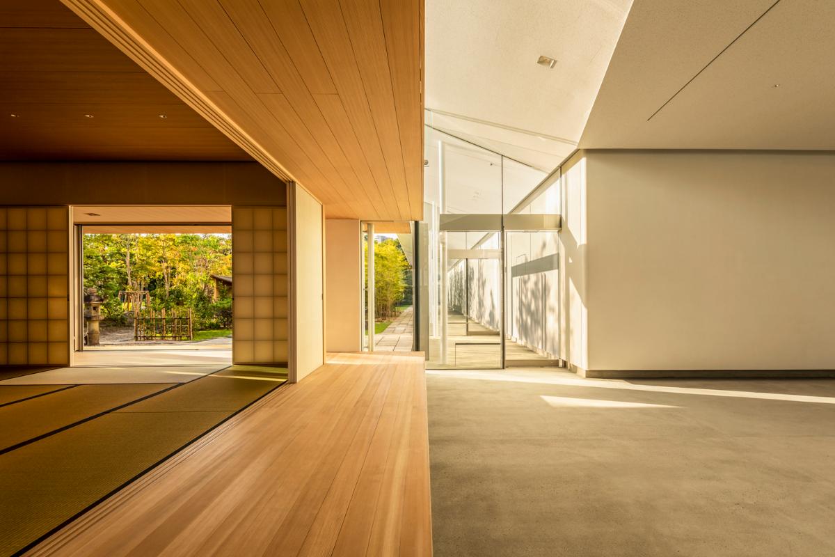 aifoto-008.jpg aifoto-008.jpg