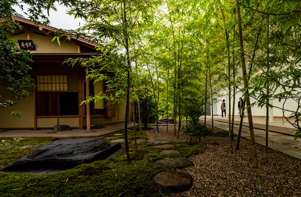 aifoto-020.jpg aifoto-020.jpg