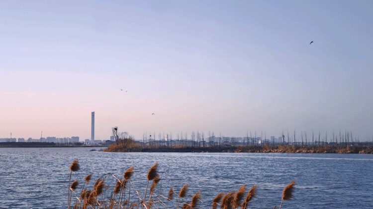 圖片5.jpg 圖片5.jpg